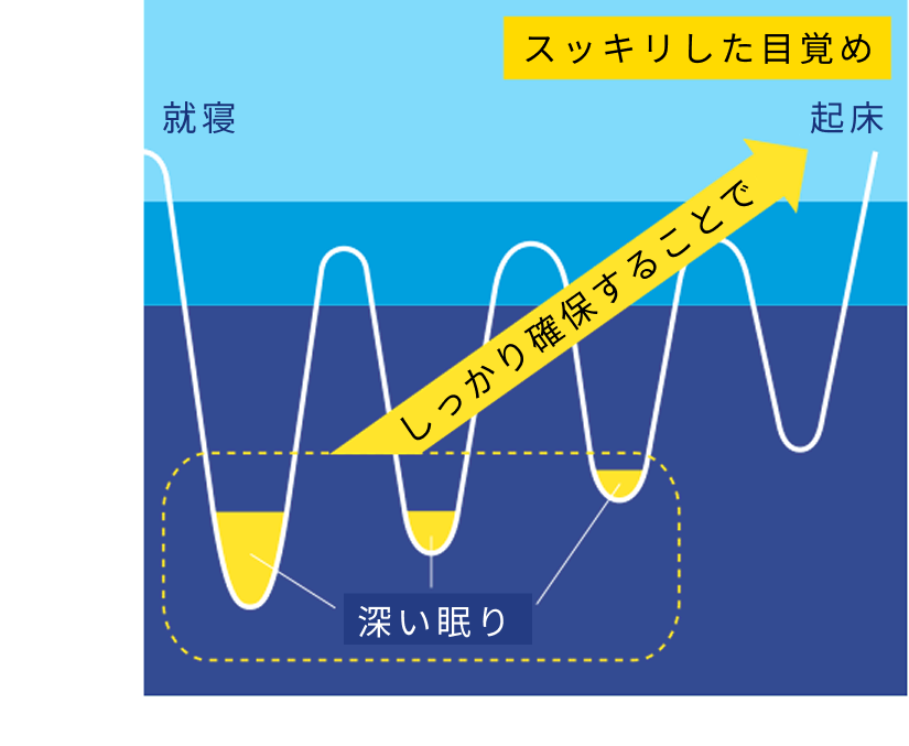 睡眠のメカニズムと睡眠の質の関係の図